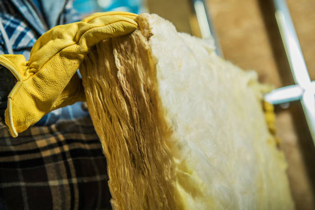 Best Cellulose Insulation in Gateway, AK
