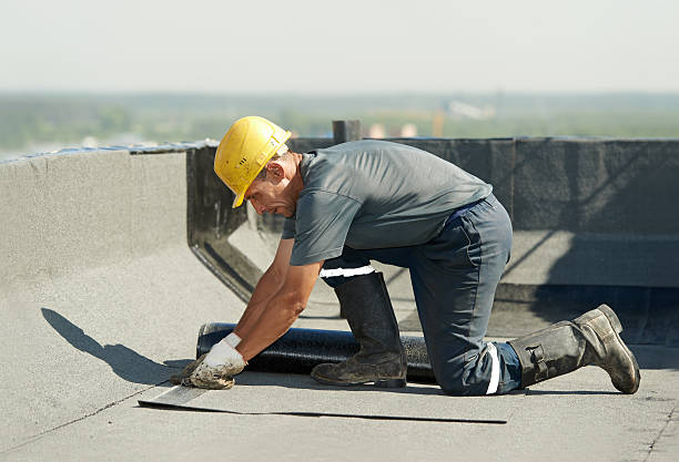 Best Eco-Friendly Insulation in Gateway, AK